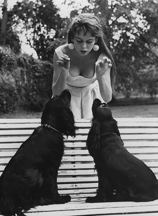 Brigitte-Bardot-And-Her-Black-Spaniels