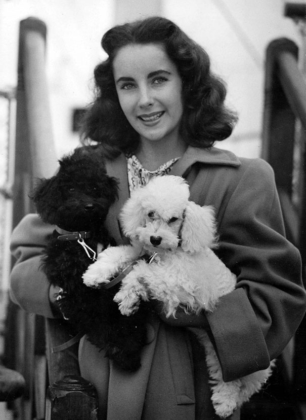 Elizabeth-Taylor-And-Her-Dogs