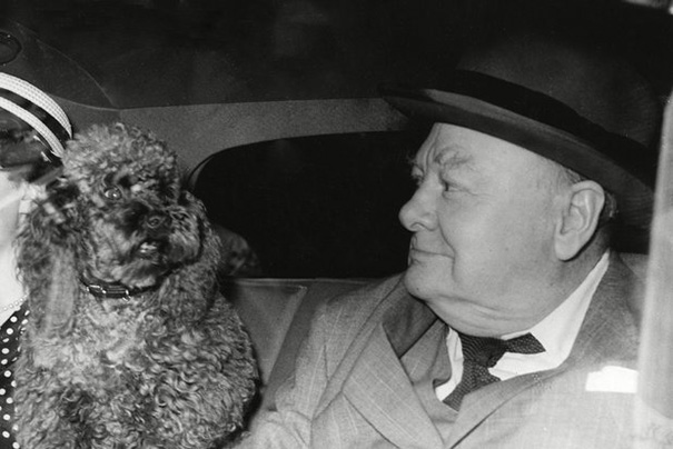 Winston-Churchill-With-One-Of-His-Buddies-Rufus