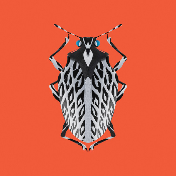 FILFURY-Bug_Square_Orange-600x600