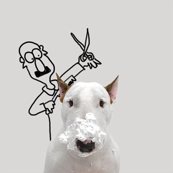 Jimmy-the-Bull-Terrier6__605